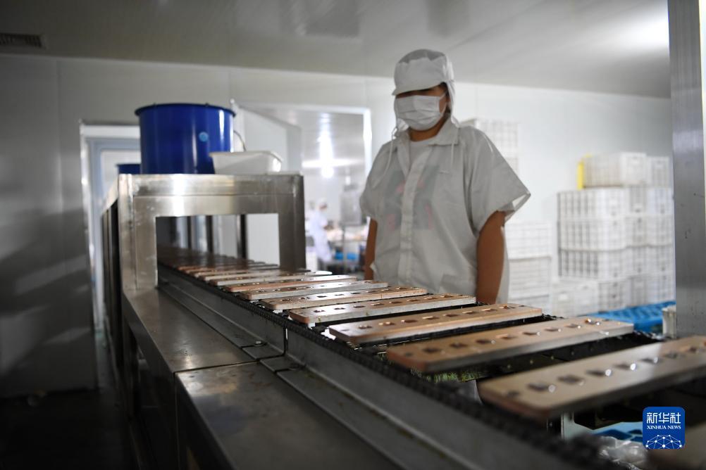 欢乐游戏手机版